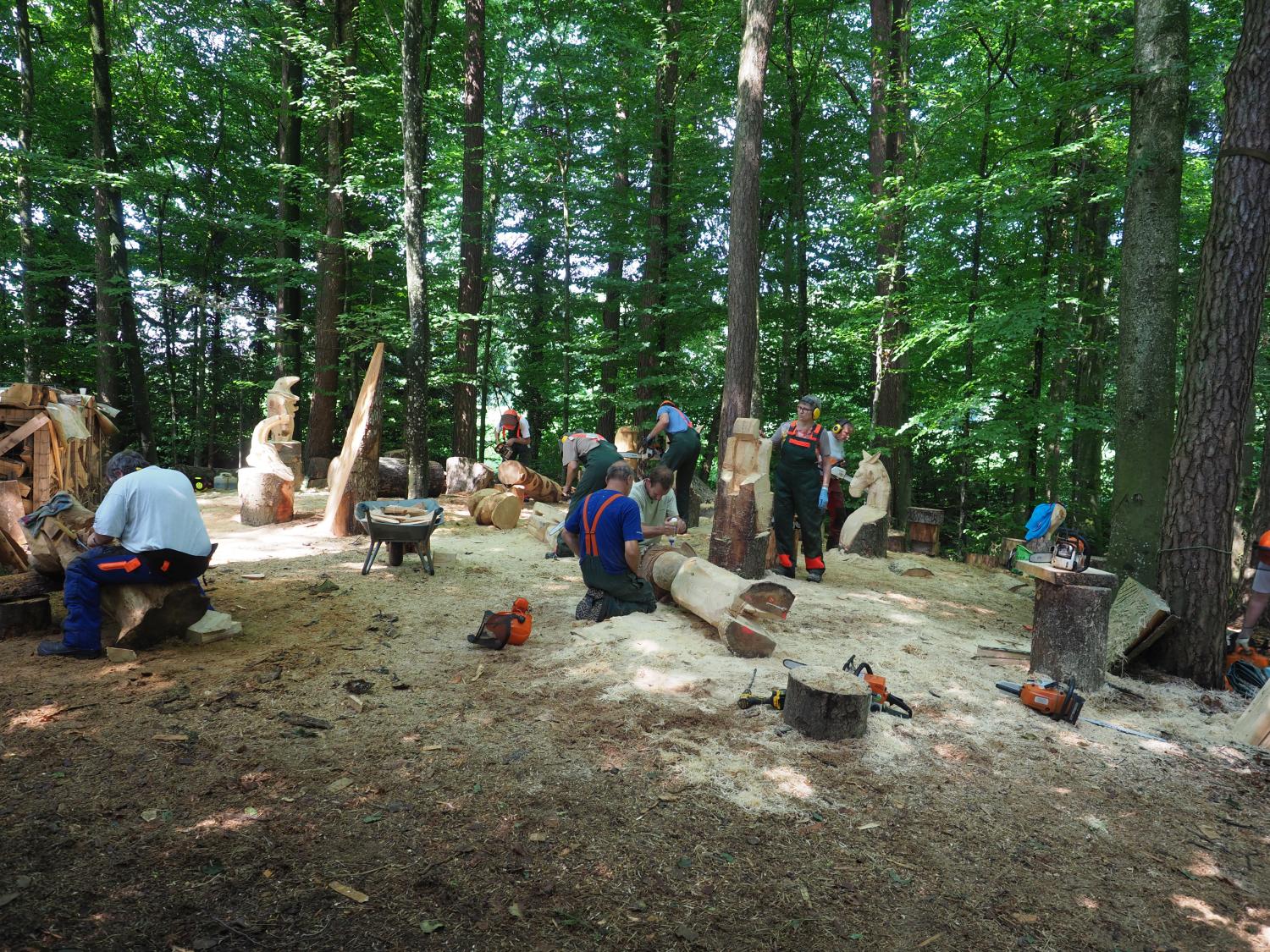 Mach was wotsch 55 20180610 2087942259