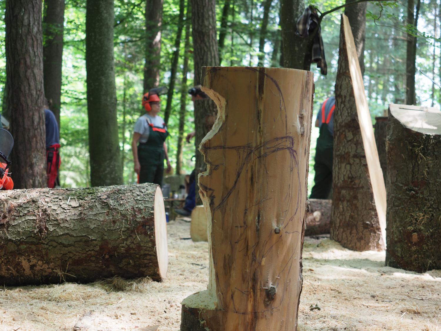 Mach was wotsch 5 20180610 1946194643