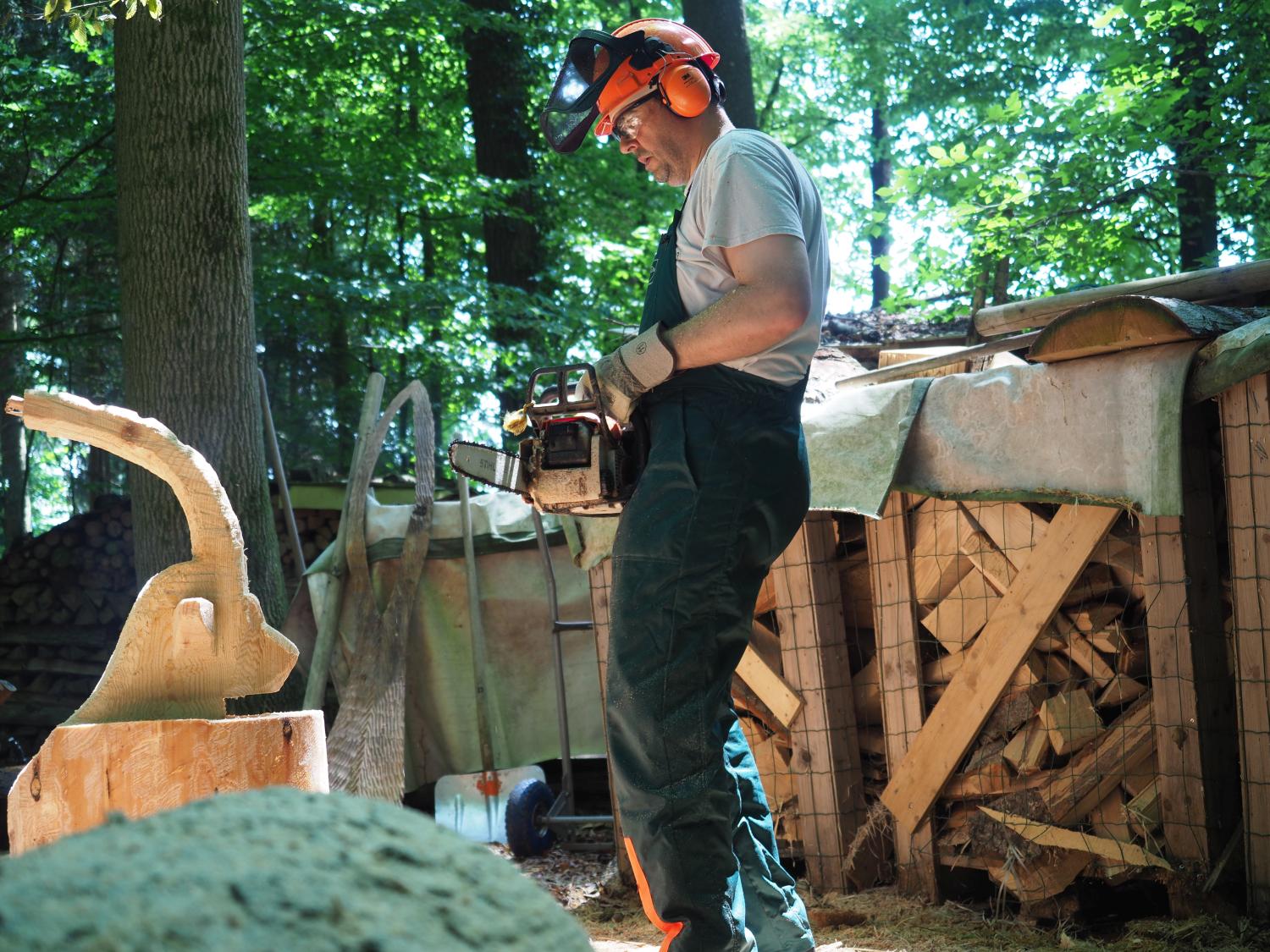 Mach was wotsch 61 20180610 1001892941