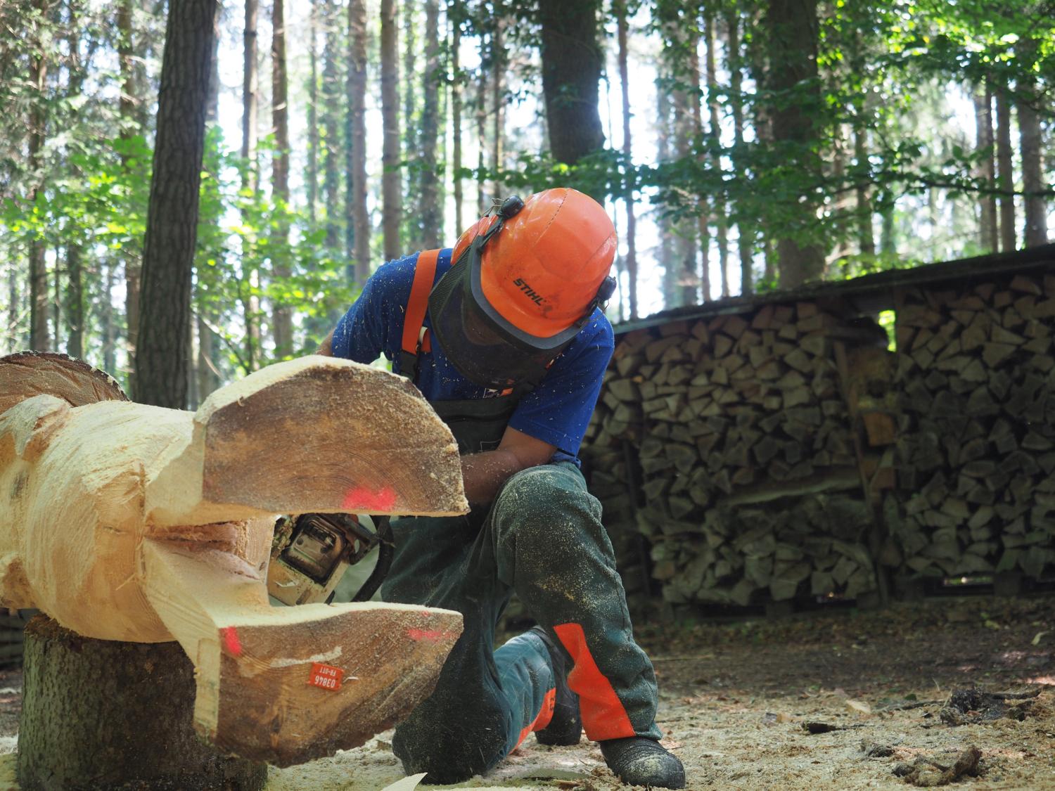 Mach was wotsch 64 20180610 1037118381