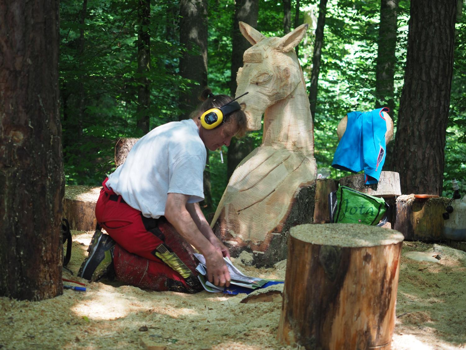 Mach was wotsch 66 20180610 2096910881