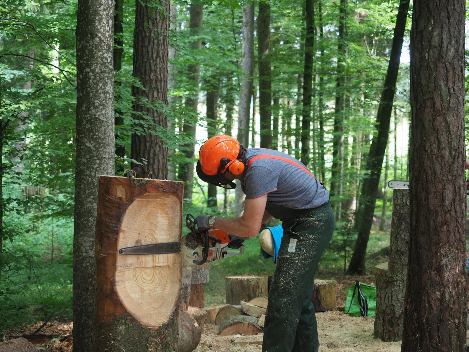 Mach was wotsch 6 20180610 1837535539