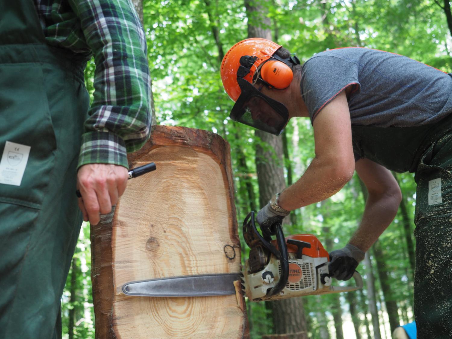 Mach was wotsch 7 20180610 1439685541