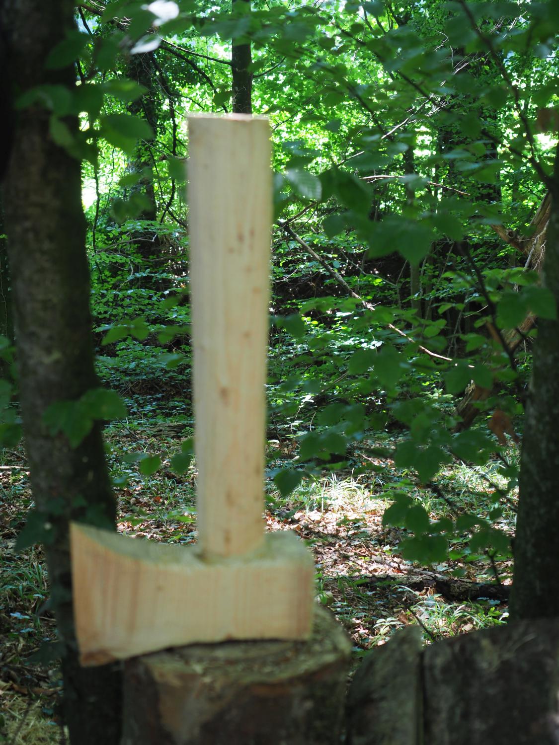 Mach was wotsch 91 20180610 1484730511