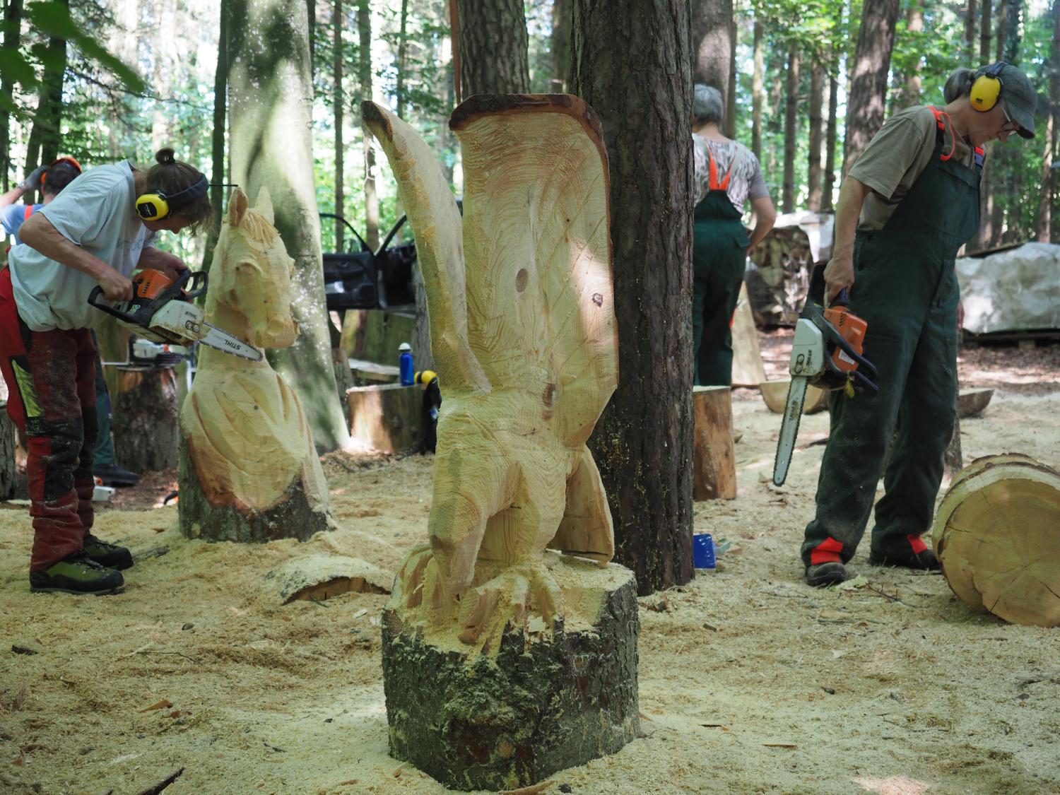 Mach was wotsch 93 20180610 1377820794