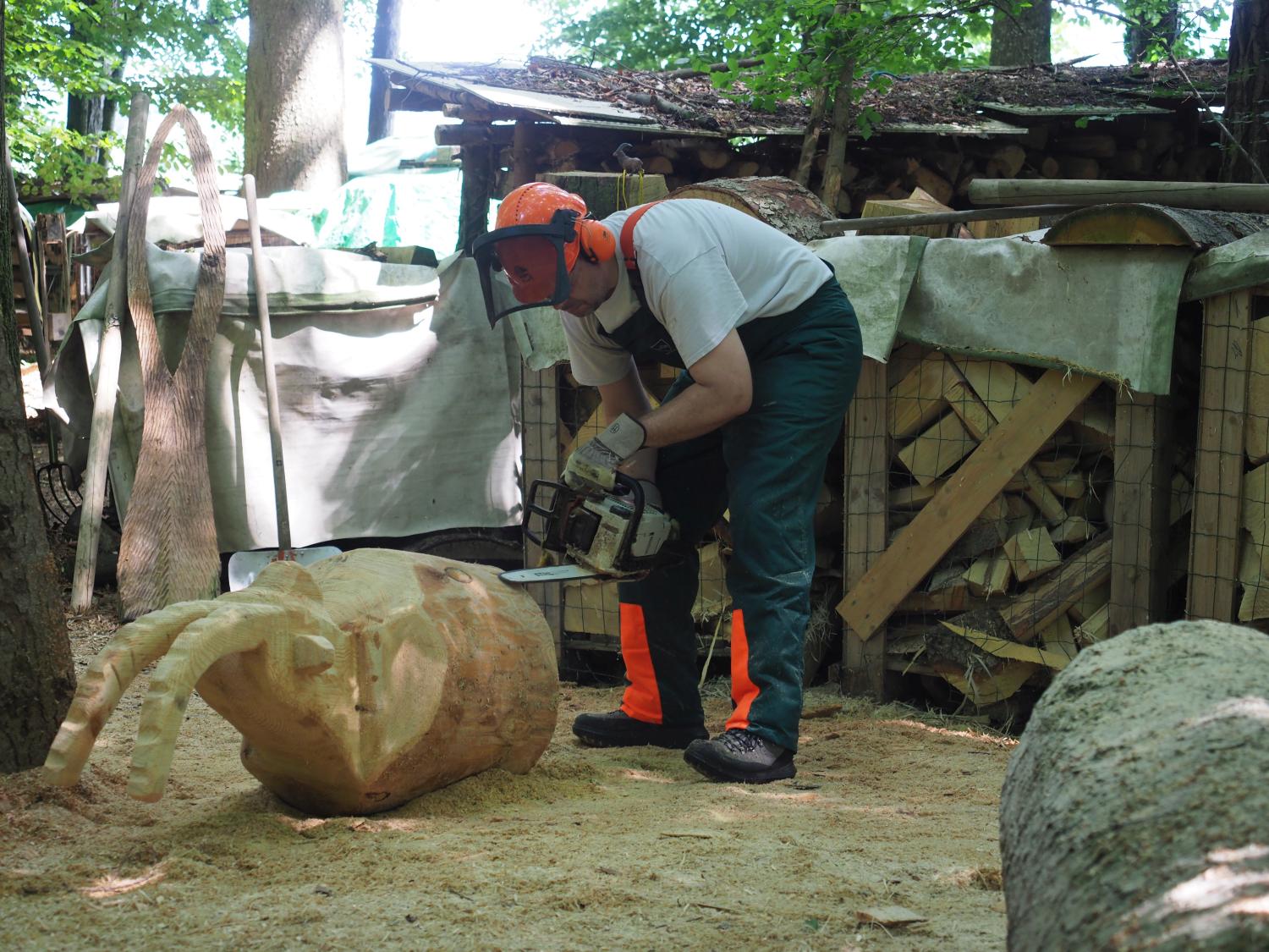 Mach was wotsch 96 20180610 1037642411