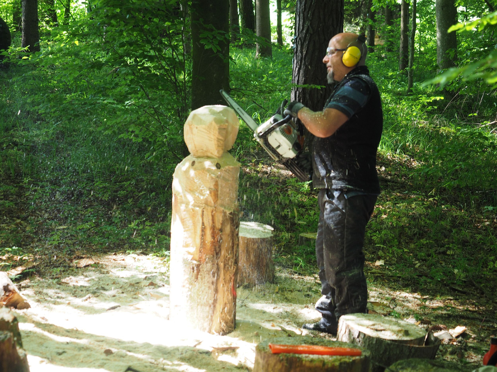 Bild 10 20160912 1857222819