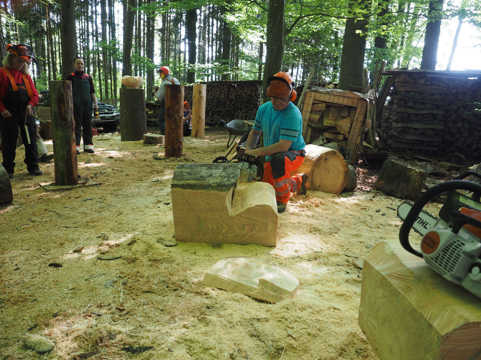 Bild 12 20160912 1646917010