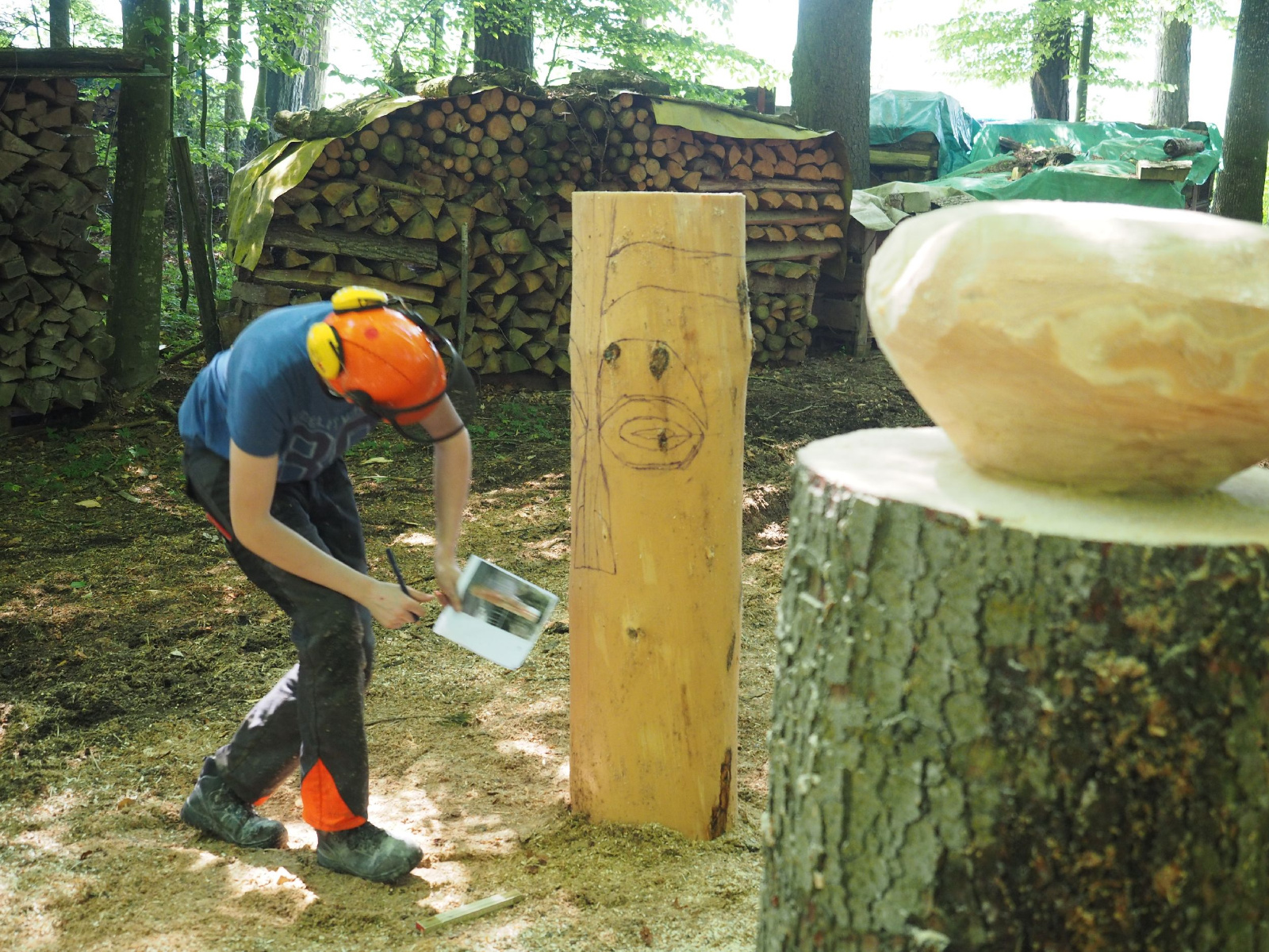 Bild 15 20160912 1968165046