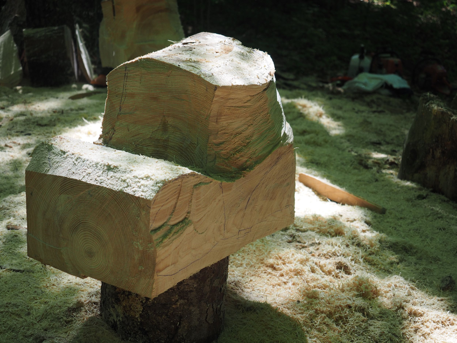 Bild 17 20160912 1217904869