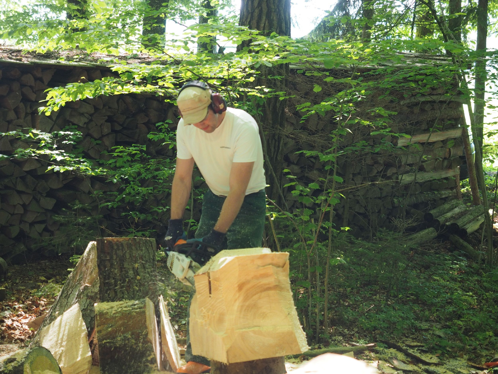 Bild 19 20160912 1544267488