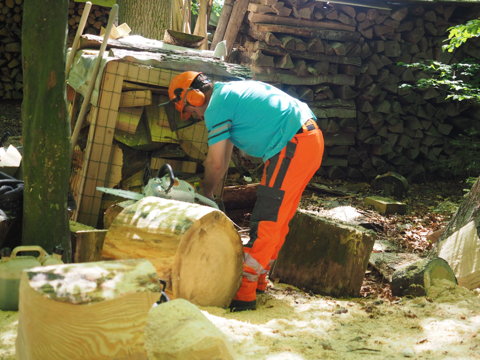 Bild 20 20160912 1380630598