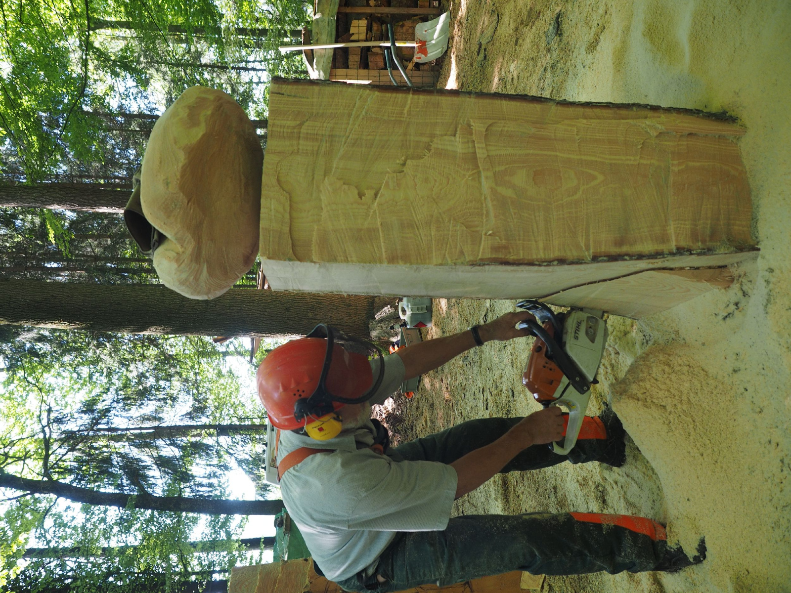 Bild 25 20160912 2092417333