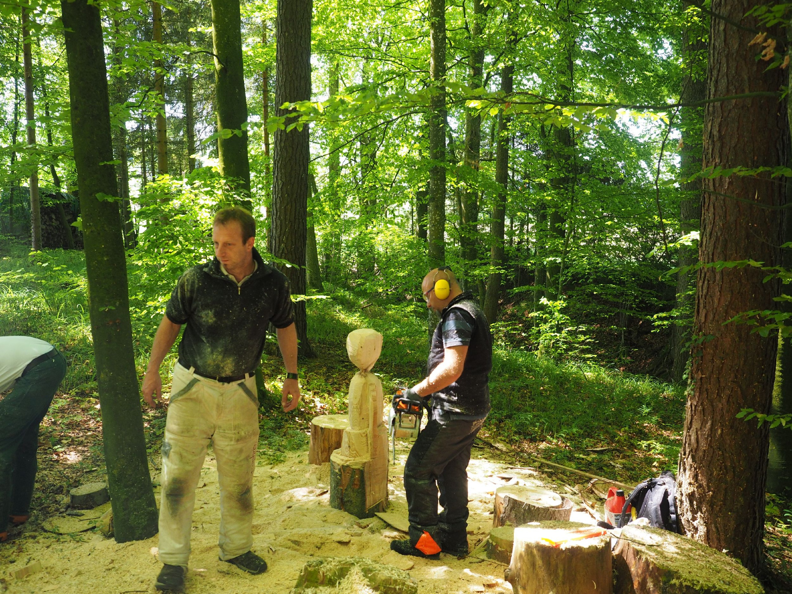 Bild 28 20160912 1362443746