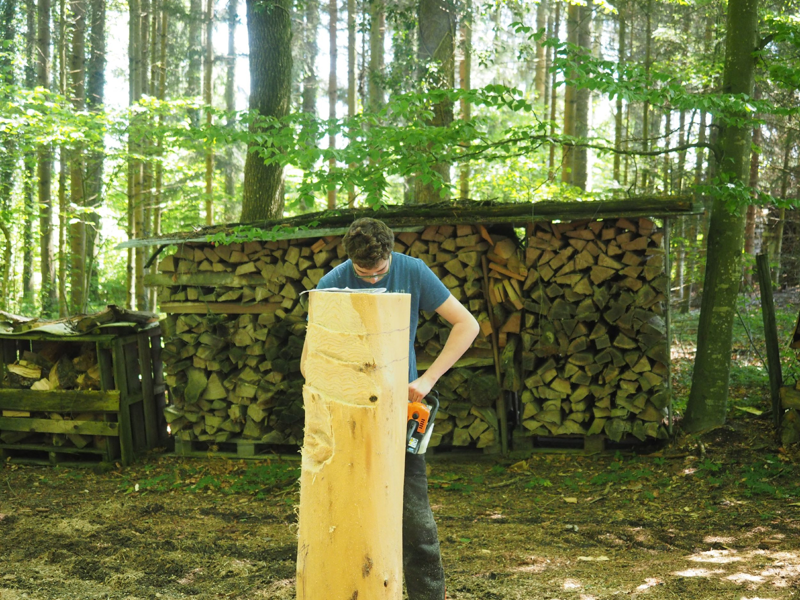 Bild 29 20160912 1408795905