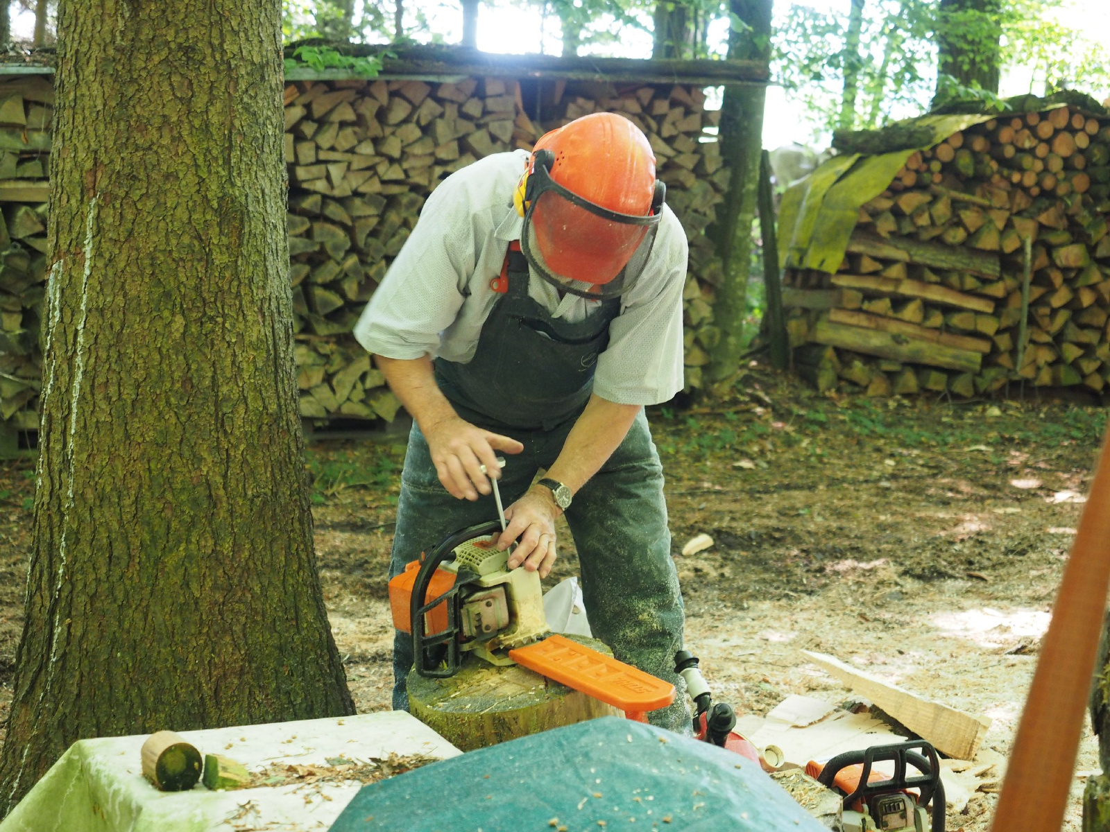 Bild 32 20160912 1871688405