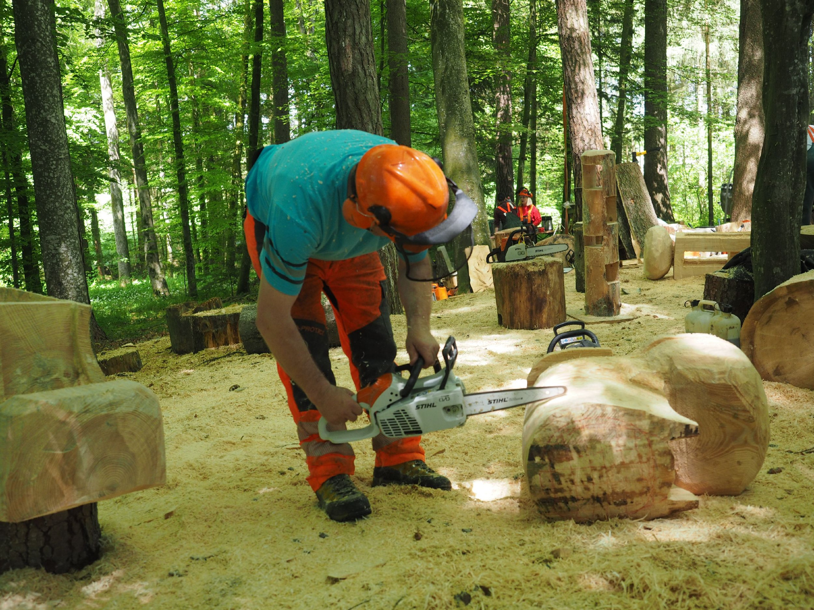 Bild 40 20160912 1895881677