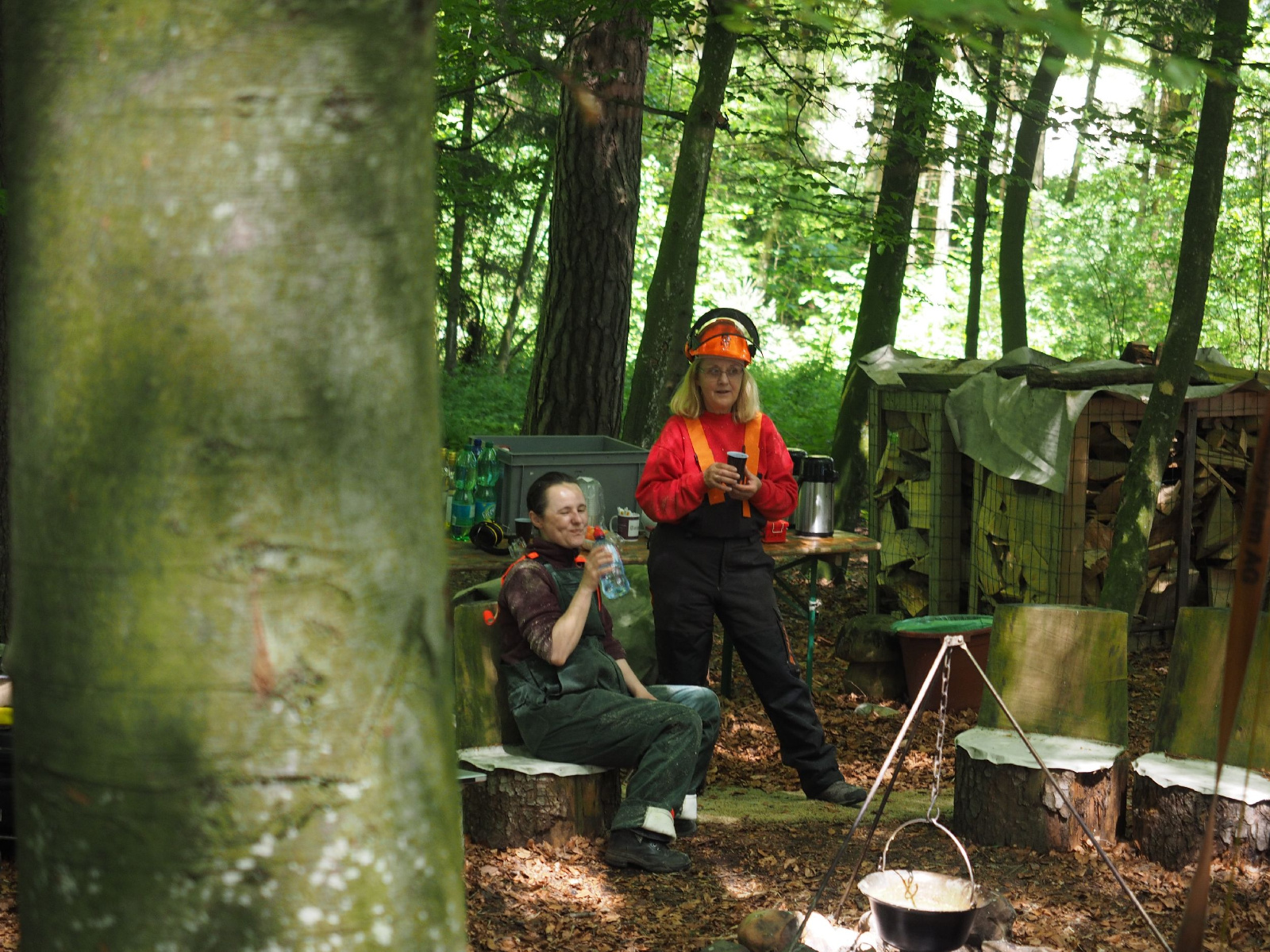 Bild 43 20160912 1949871977