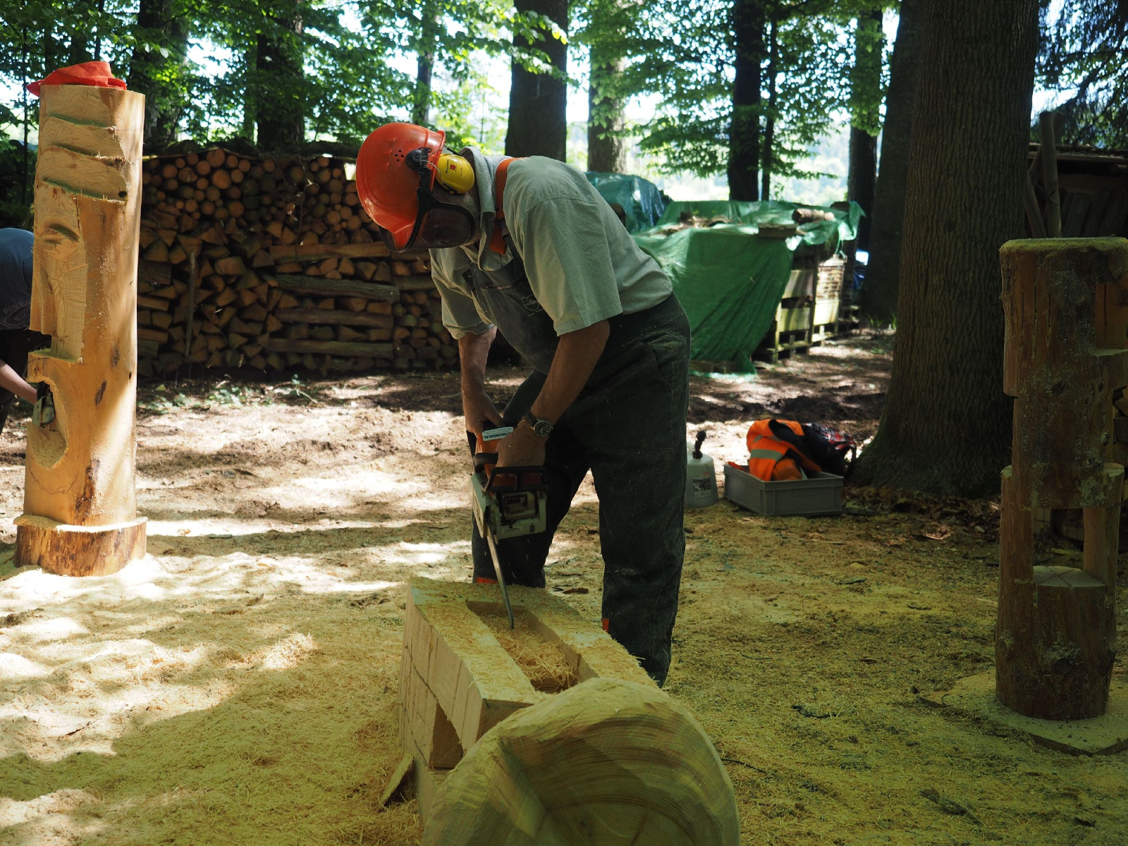 Bild 44 20160912 1831923153