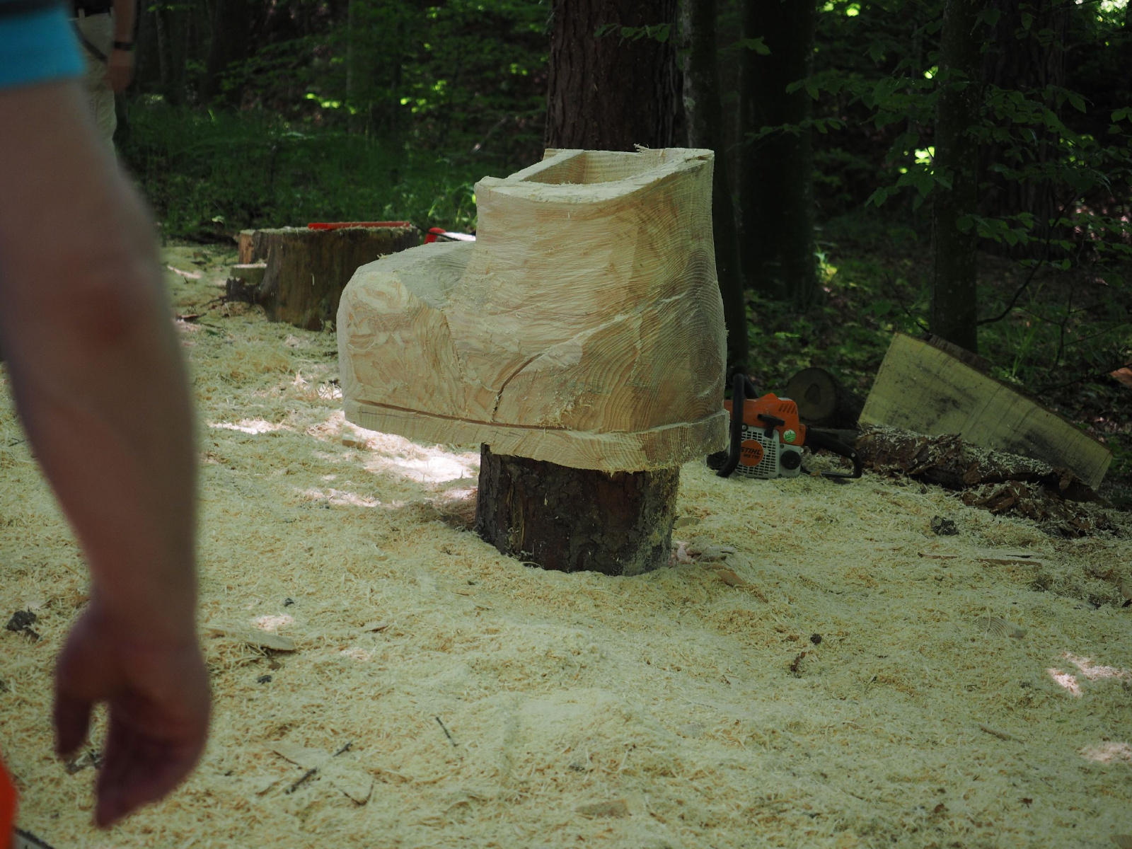 Bild 46 20160912 1070619607