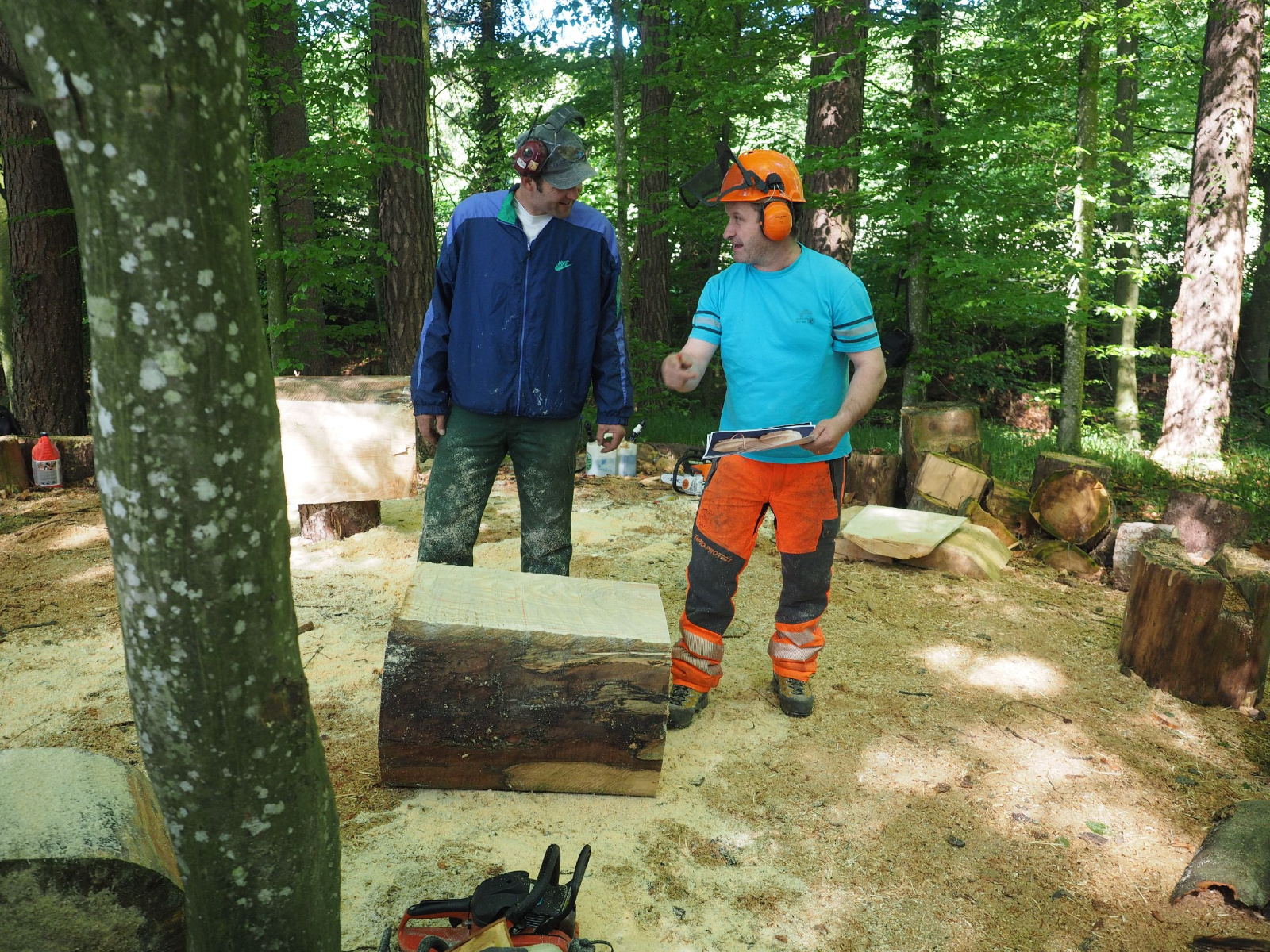 Bild 5 20160912 1246501537