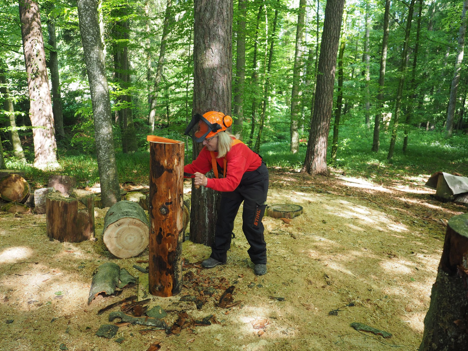 Bild 6 20160912 1745075521