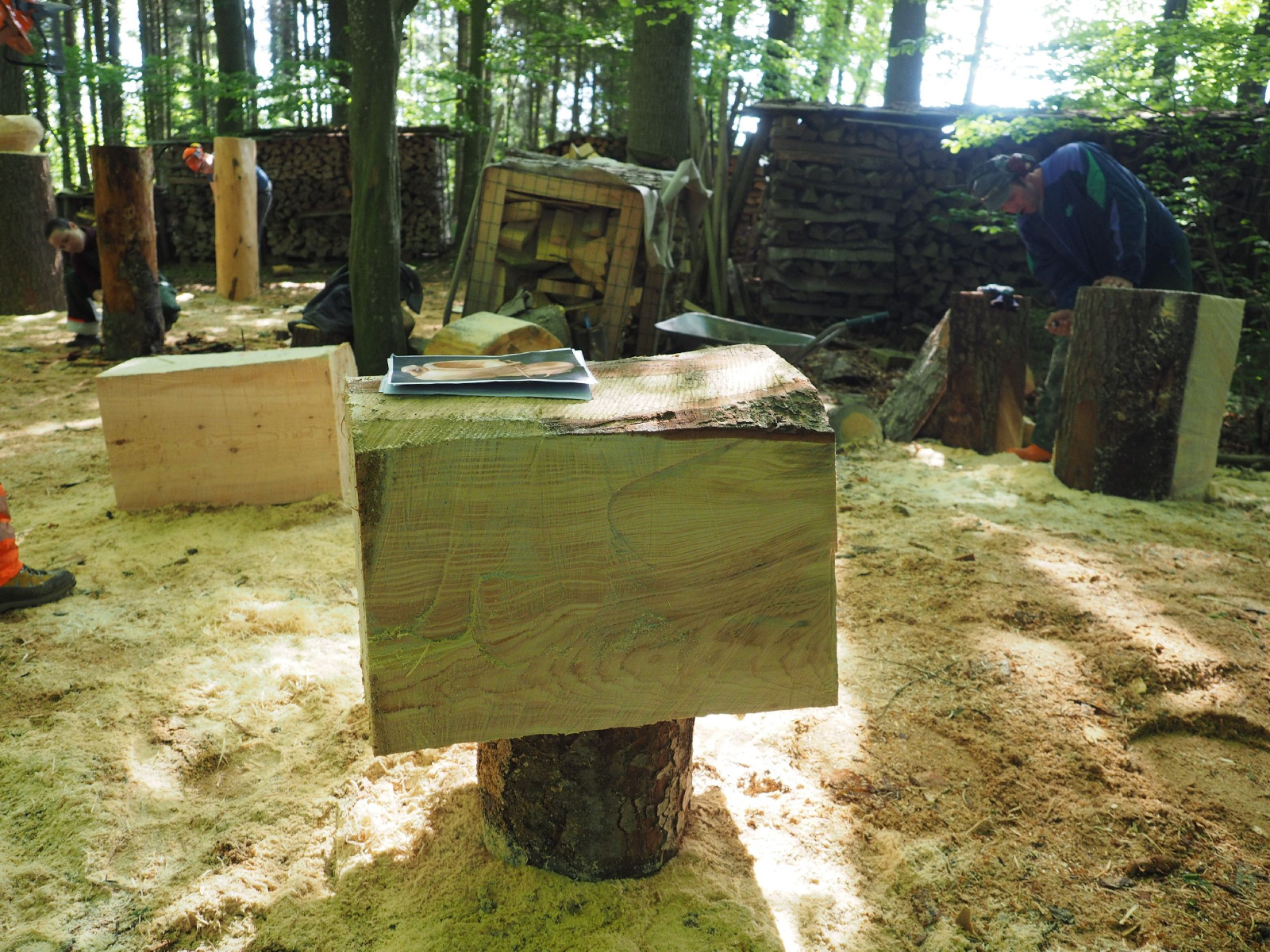 Bild 9 20160912 1289259621