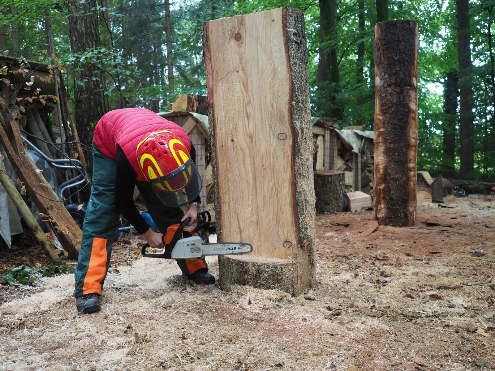 Pferd mach was wotsch 12 20180902 1162739449