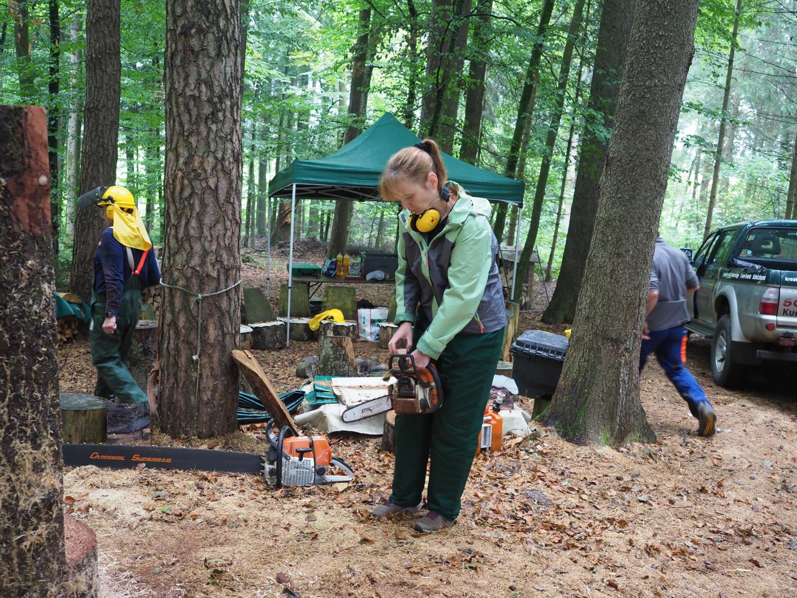 Pferd mach was wotsch 14 20180902 1914856514