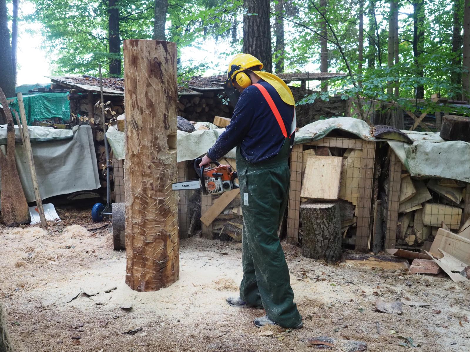 Pferd mach was wotsch 19 20180902 1370211154