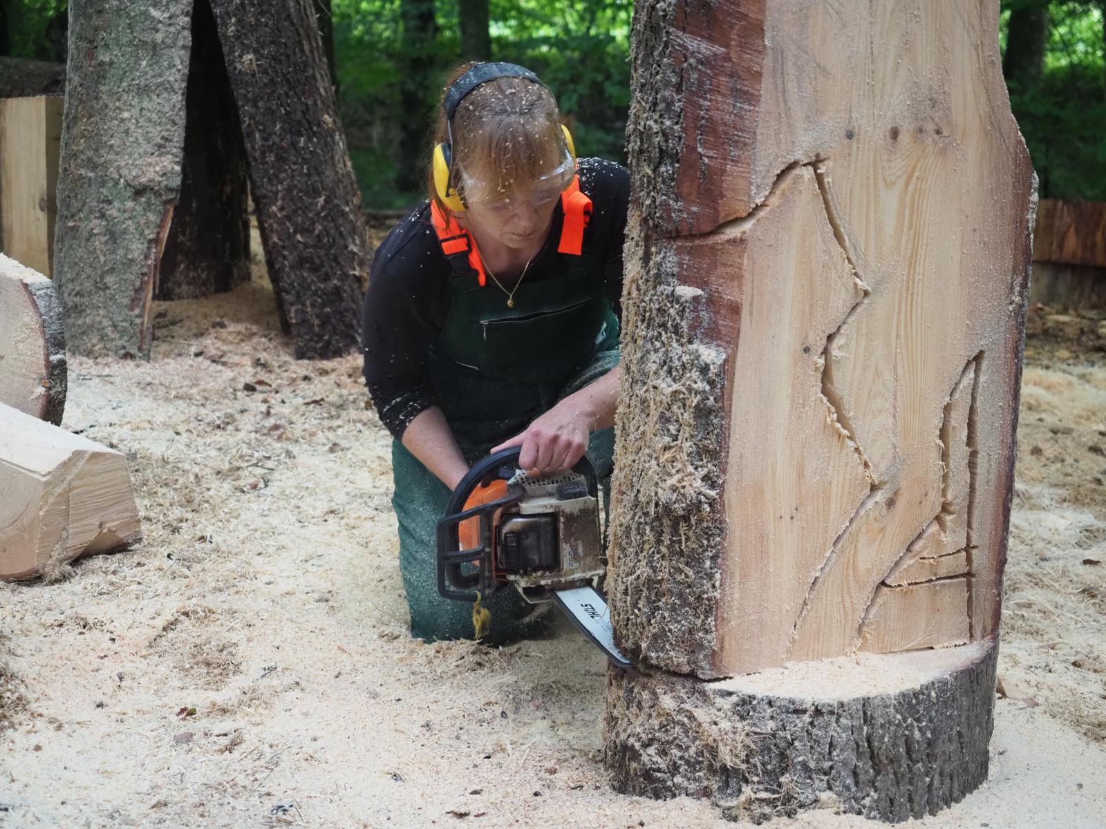 Pferd mach was wotsch 22 20180902 1278809721