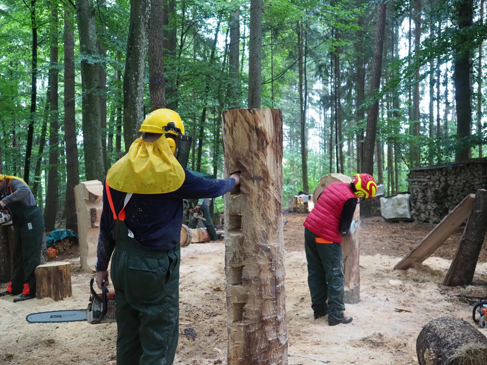 Pferd mach was wotsch 29 20180902 1101912650