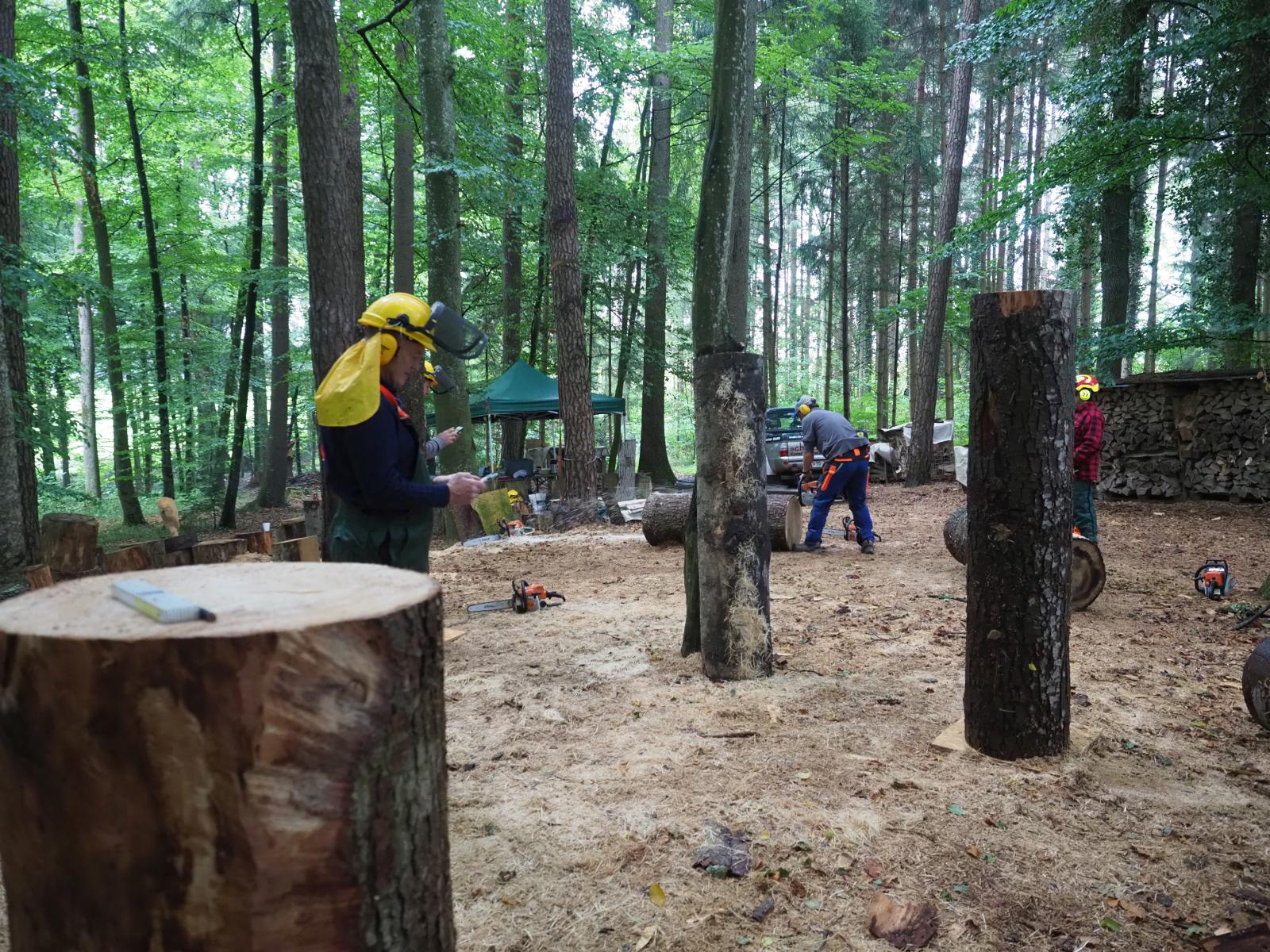 Pferd mach was wotsch 2 20180902 1738033860