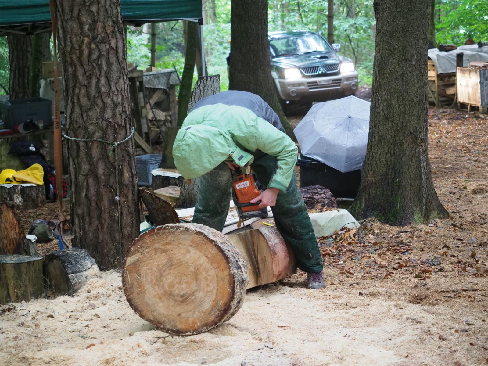 Pferd mach was wotsch 30 20180902 1448379907