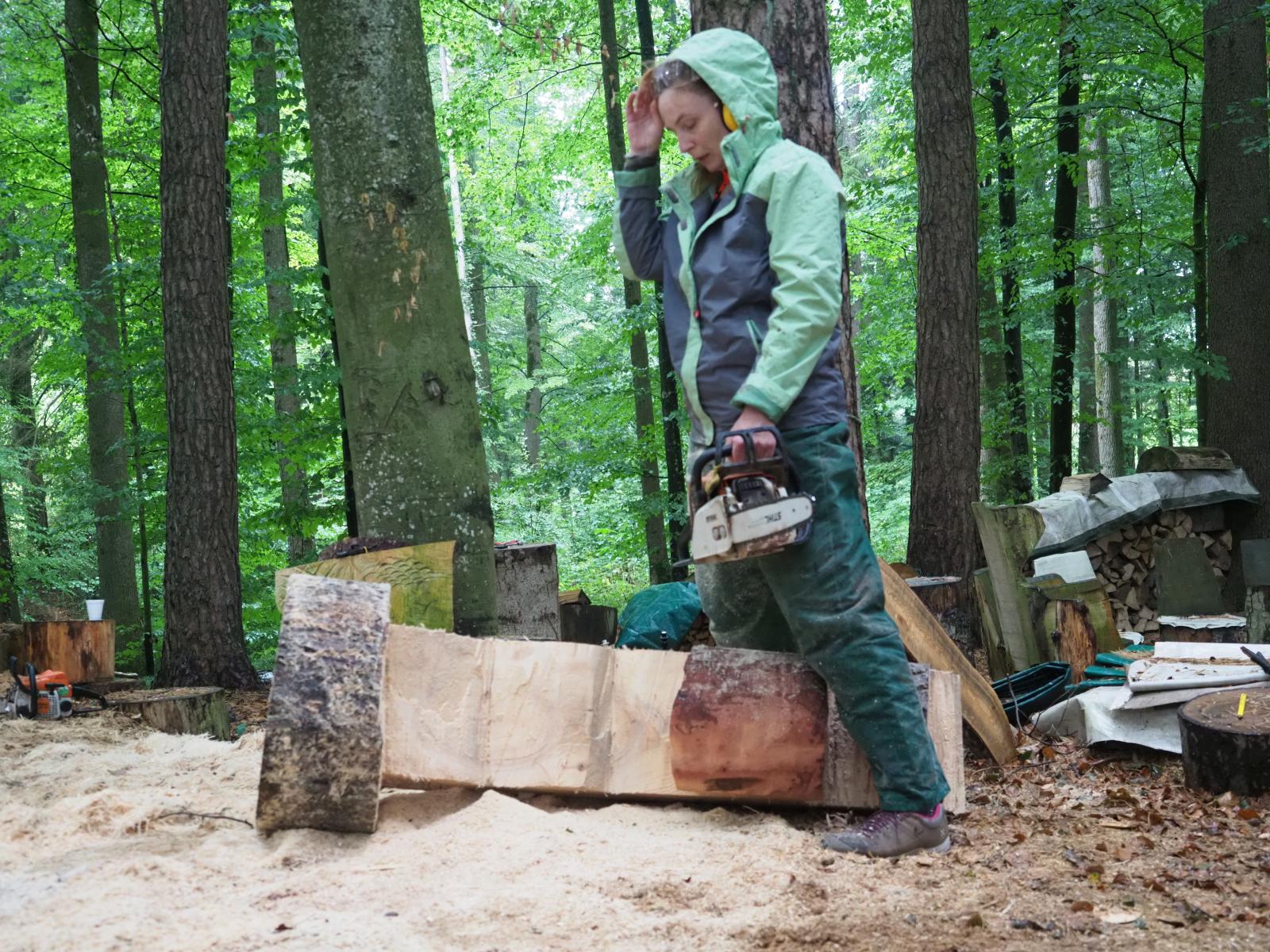 Pferd mach was wotsch 31 20180902 1639546364