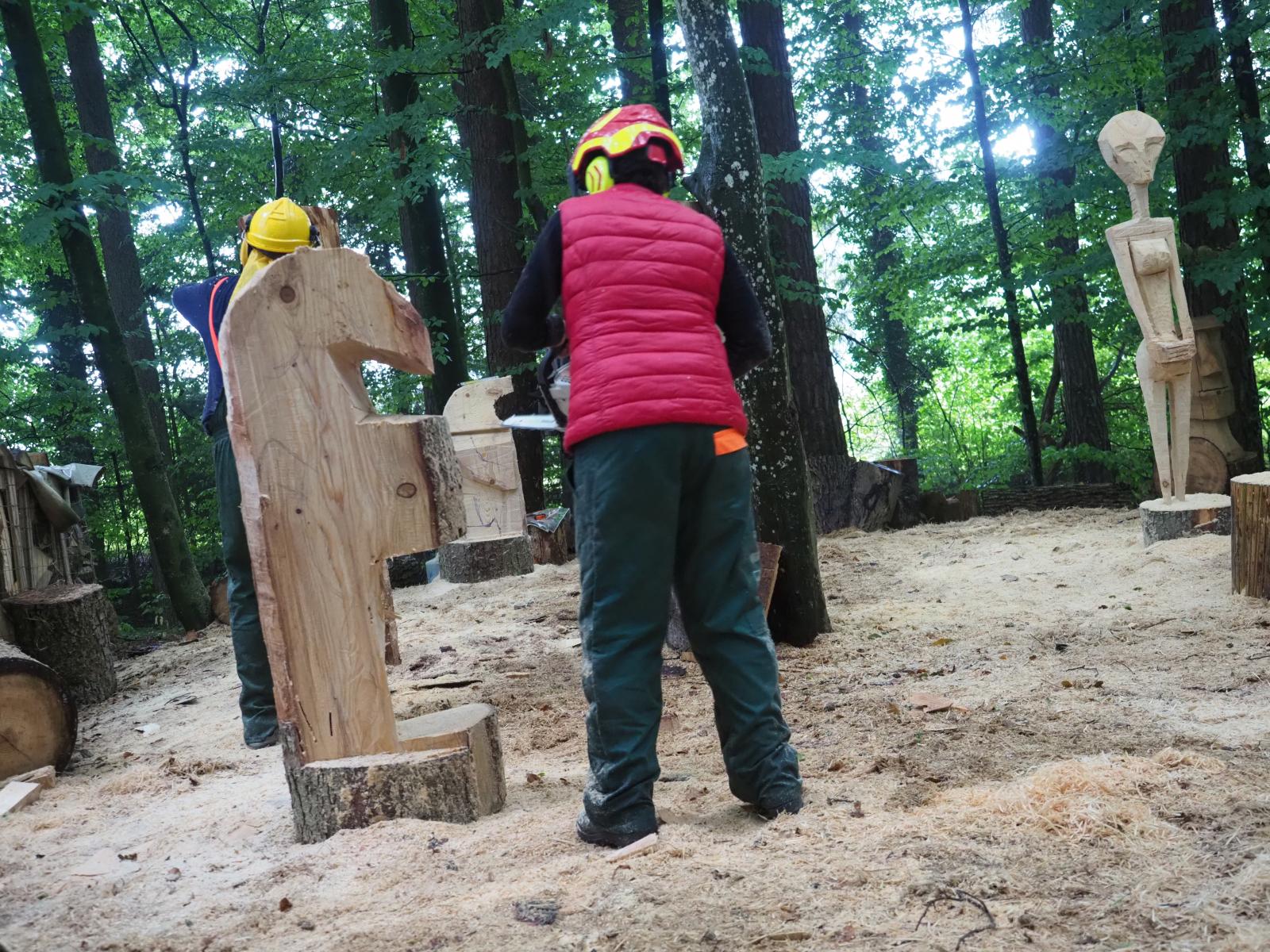 Pferd mach was wotsch 33 20180902 1896887180