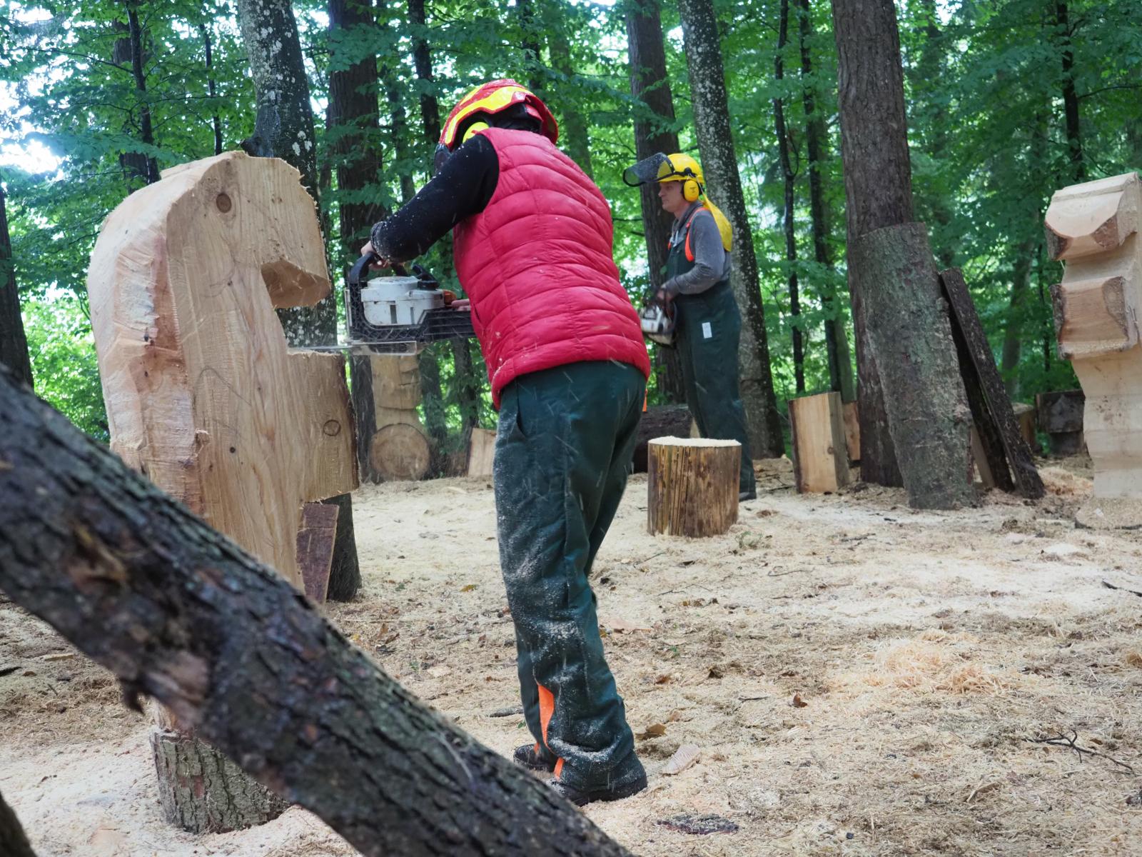 Pferd mach was wotsch 34 20180902 1509263982