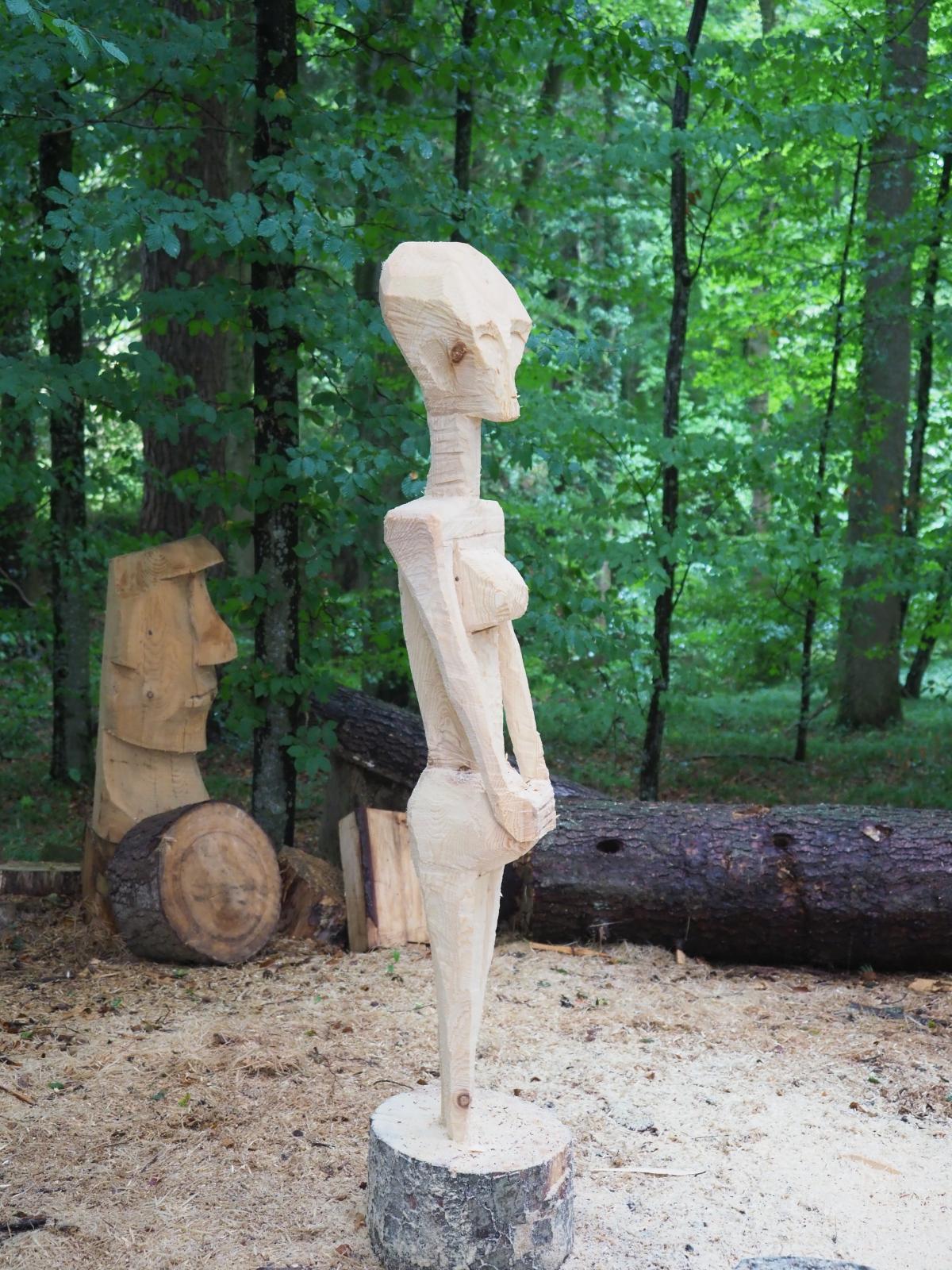 Pferd mach was wotsch 38 20180902 1867989238