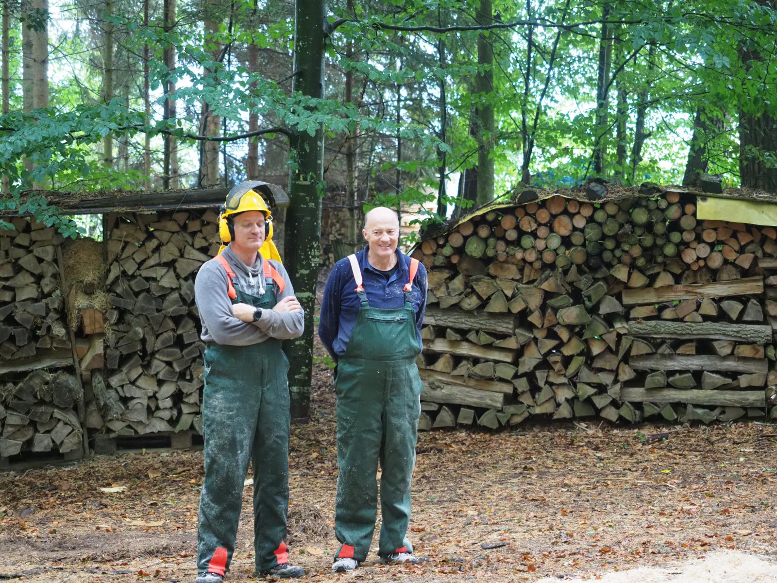 Pferd mach was wotsch 40 20180902 1432647315