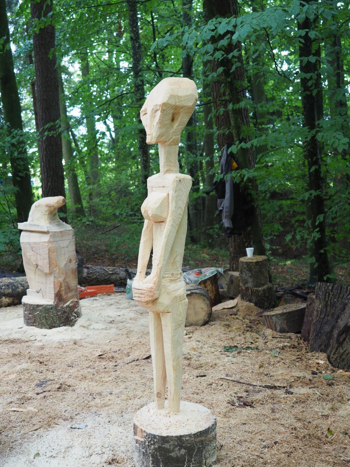 Pferd mach was wotsch 41 20180902 1969036988