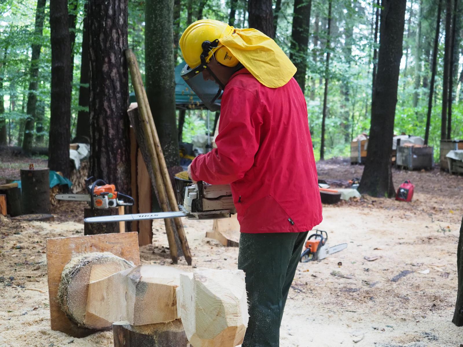 Pferd mach was wotsch 47 20180902 1314812615