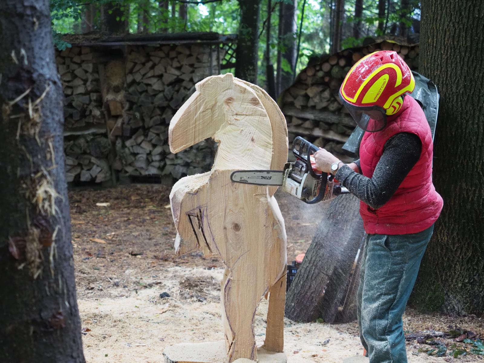 Pferd mach was wotsch 48 20180902 1394232428