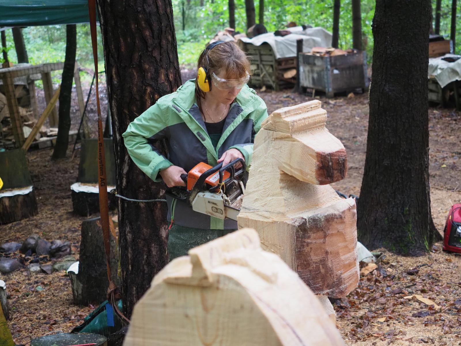 Pferd mach was wotsch 49 20180902 1218189531