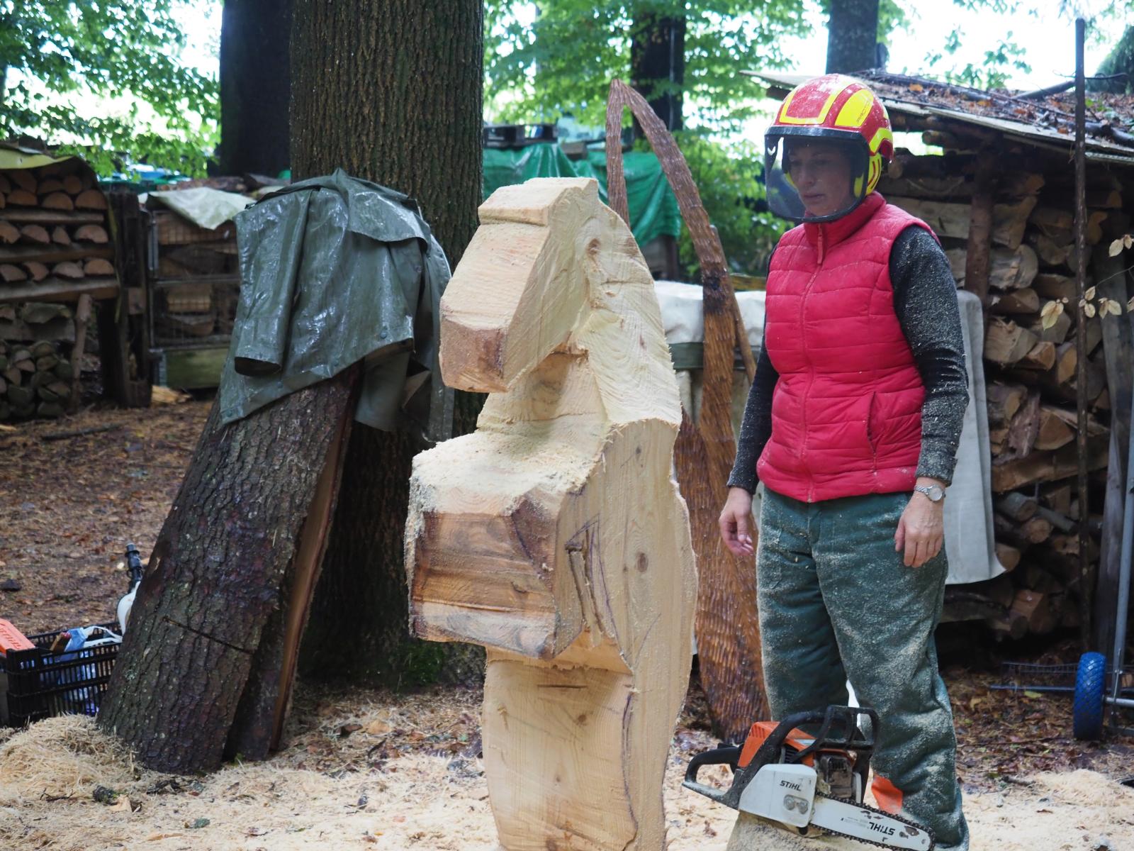 Pferd mach was wotsch 50 20180902 1053127090