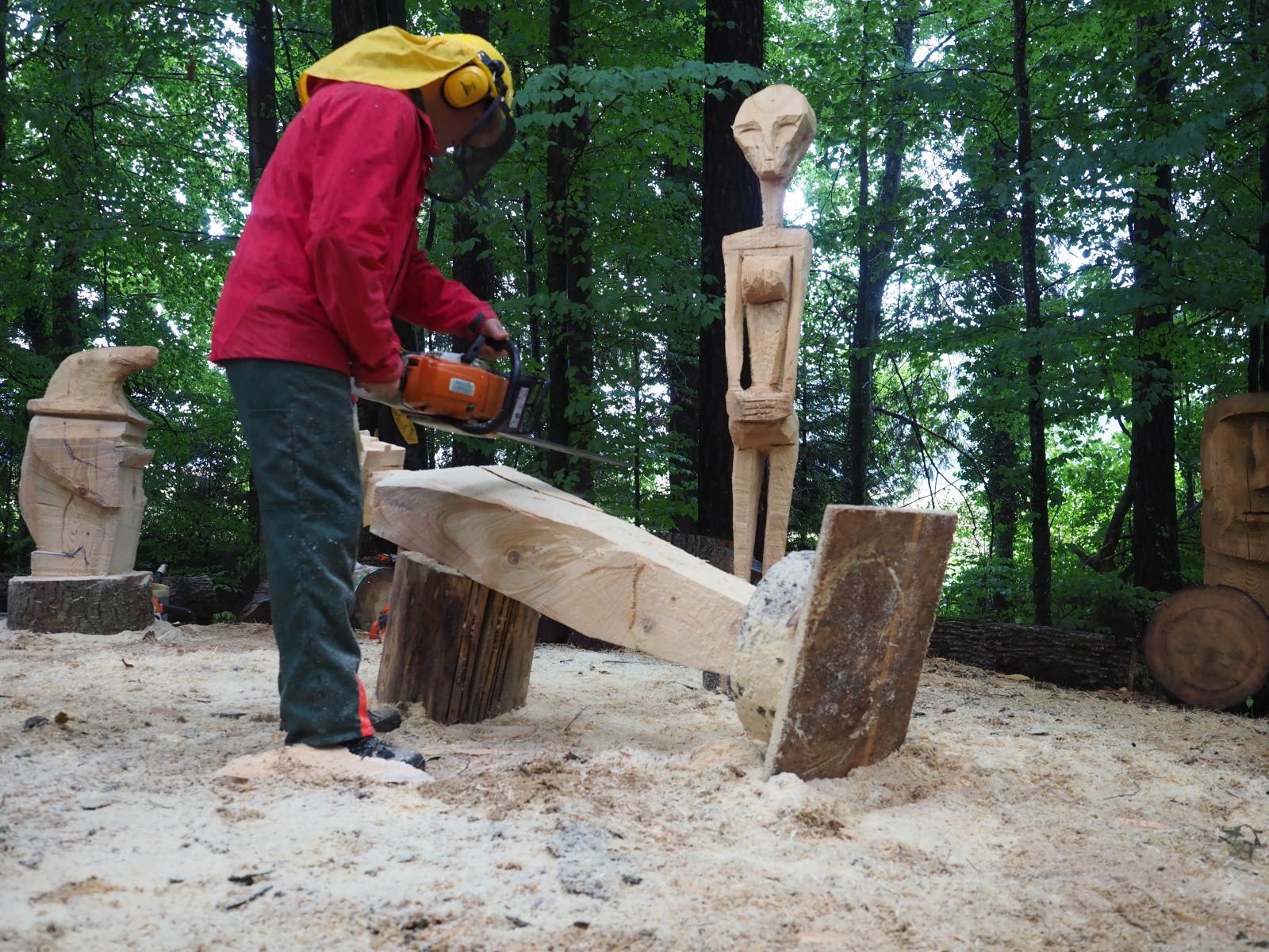 Pferd mach was wotsch 51 20180902 1178467616