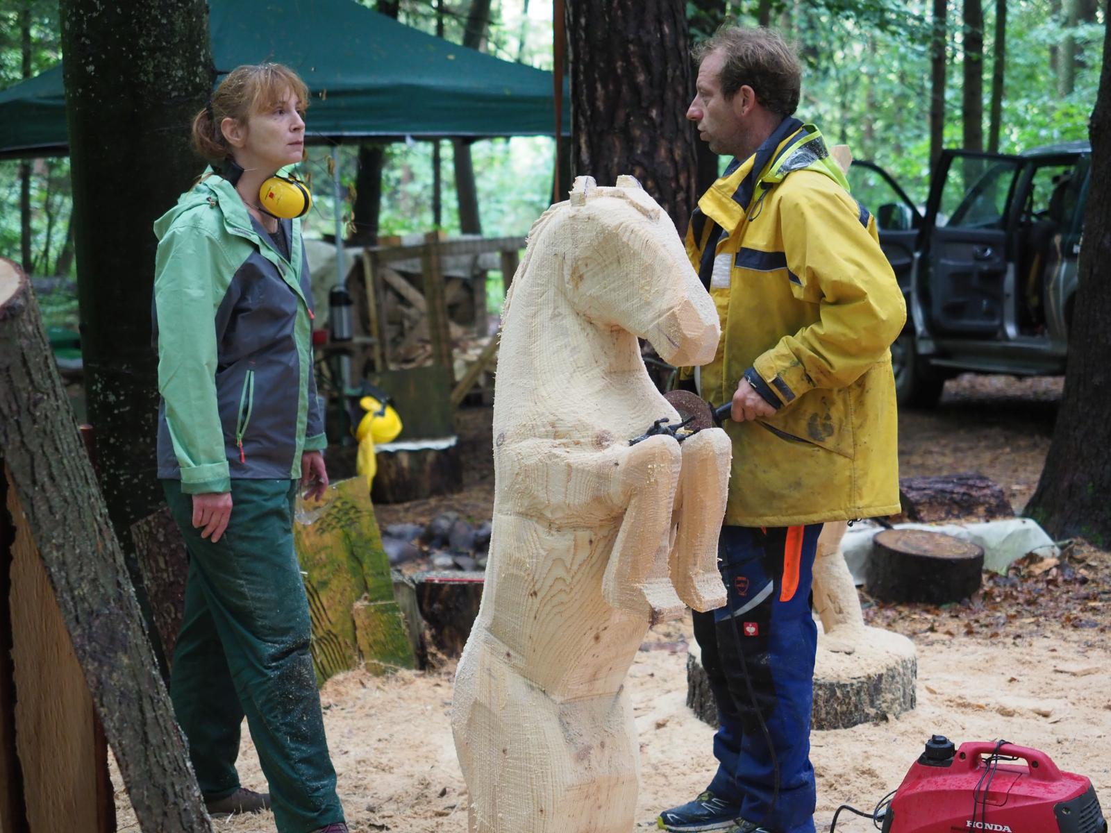 Pferd mach was wotsch 59 20180902 1495539715