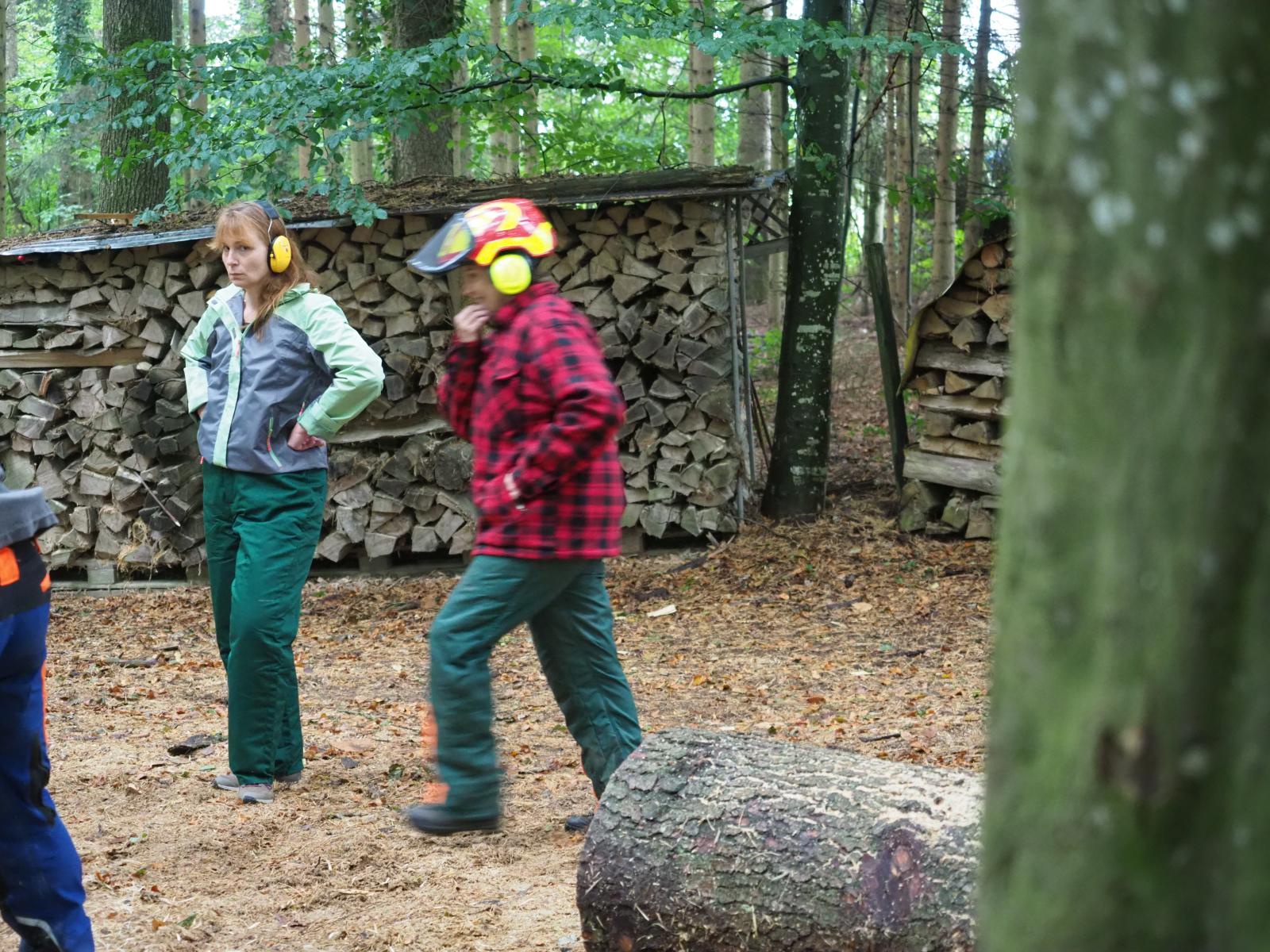 Pferd mach was wotsch 5 20180902 1468347489