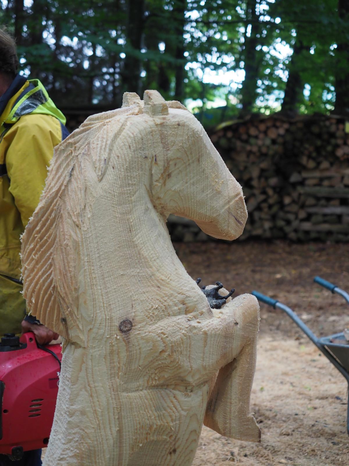 Pferd mach was wotsch 60 20180902 1869671398