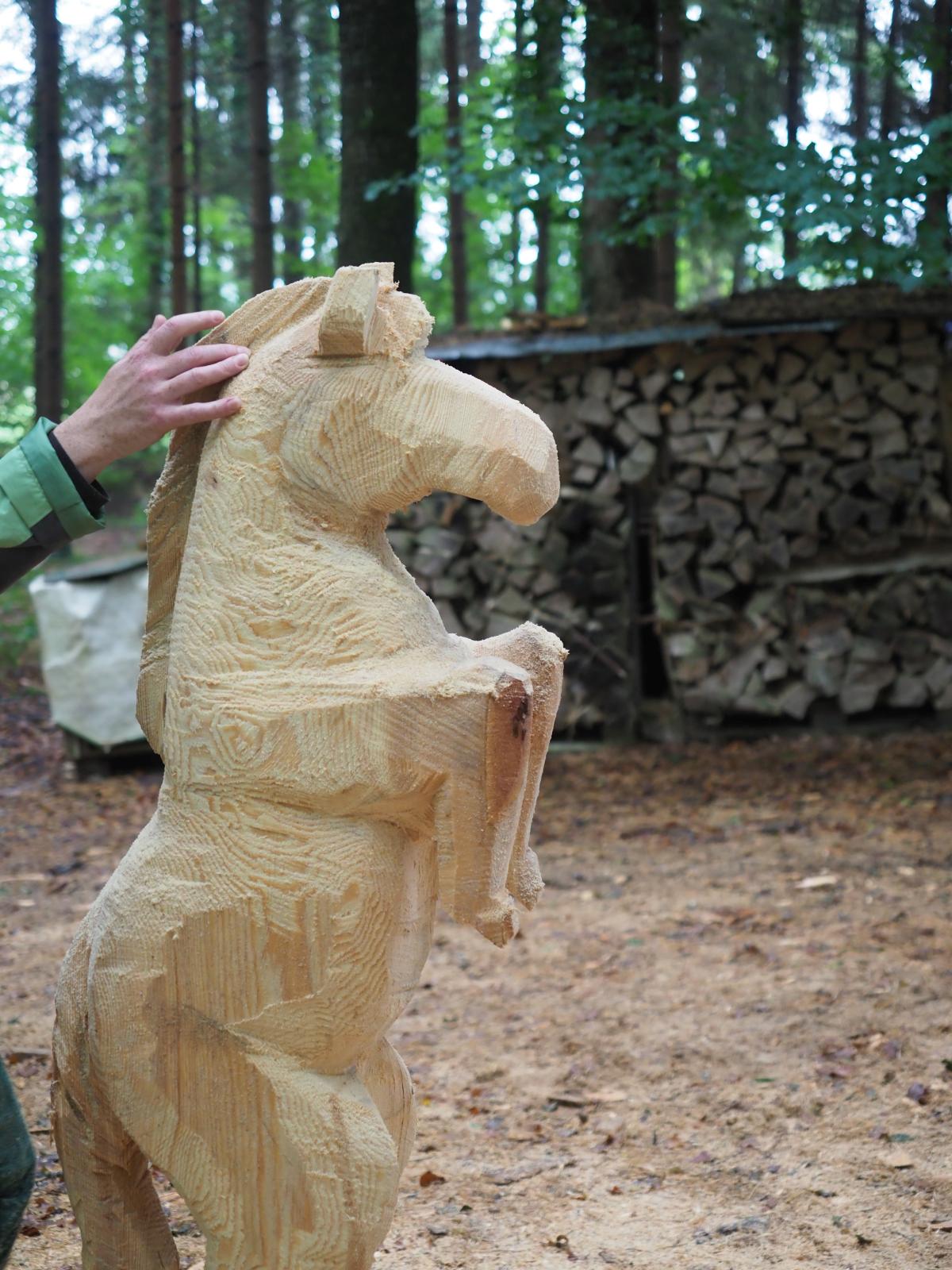 Pferd mach was wotsch 61 20180902 1260962762