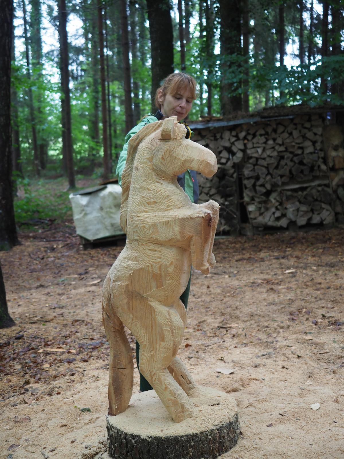 Pferd mach was wotsch 62 20180902 1886913624